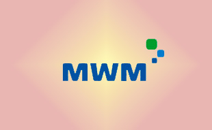 ✓ MWM 0205 8374 Запчасть MWM 